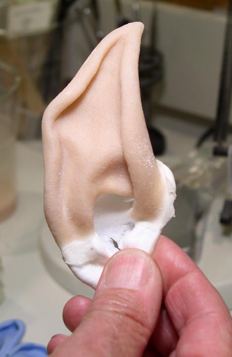 New 'One Day Intro to Prosthetic' Date Essex